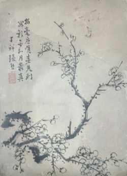 张熊花鸟小稿---梅花之一