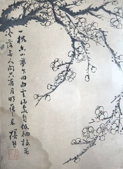 张熊花鸟小稿---梅花之二
