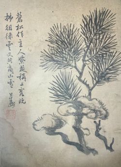 胡公寿花鸟画---小稿之一